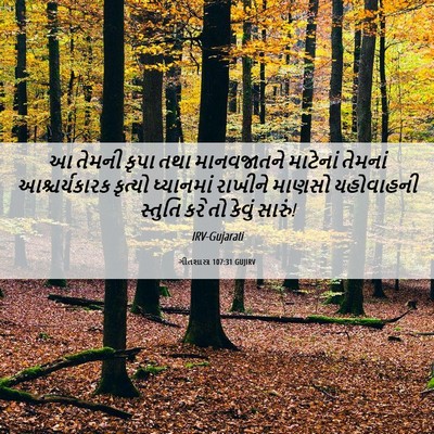 Picture 06 - ગીતશાસ્ત્ર 107:31 GUJIRV - આ તેમની કૃપા તથા - Bible Verse Picture