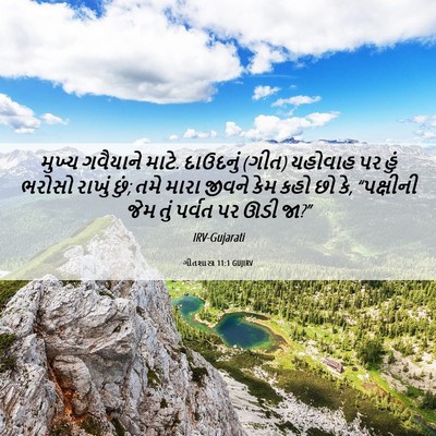 Picture 06 - ગીતશાસ્ત્ર 11:1 GUJIRV - મુખ્ય ગવૈયાને - Bible Verse Picture