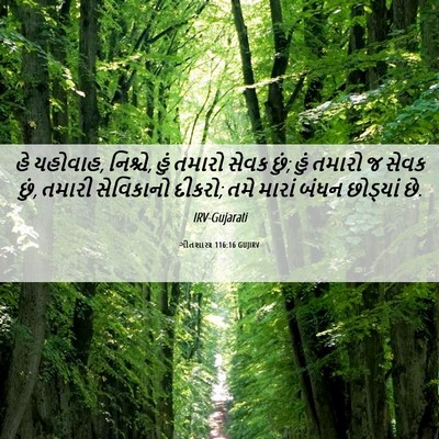 Picture 06 - ગીતશાસ્ત્ર 116:16 GUJIRV - હે યહોવાહ, નિશ્ચે, - Bible Verse Picture