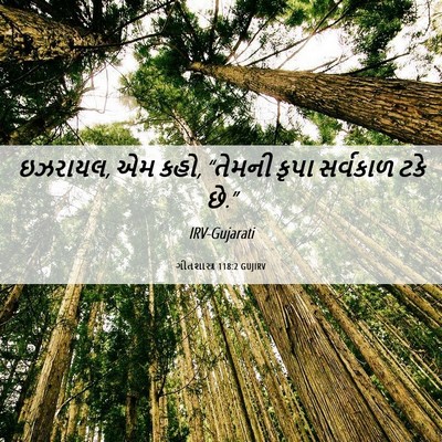 Picture 06 - ગીતશાસ્ત્ર 118:2 GUJIRV - ઇઝરાયલ, એમ કહો, - Bible Verse Picture