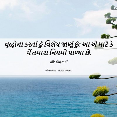 Picture 06 - ગીતશાસ્ત્ર 119:100 GUJIRV - વૃદ્ધોના કરતાં - Bible Verse Picture