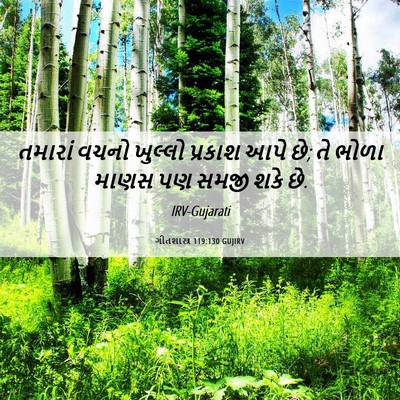 Picture 06 - ગીતશાસ્ત્ર 119:130 GUJIRV - તમારાં વચનો - Bible Verse Picture