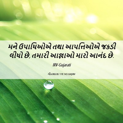 Picture 06 - ગીતશાસ્ત્ર 119:143 GUJIRV - મને ઉપાધિઓએ તથા - Bible Verse Picture