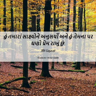 Picture 06 - ગીતશાસ્ત્ર 119:167 GUJIRV - હું તમારાં - Bible Verse Picture