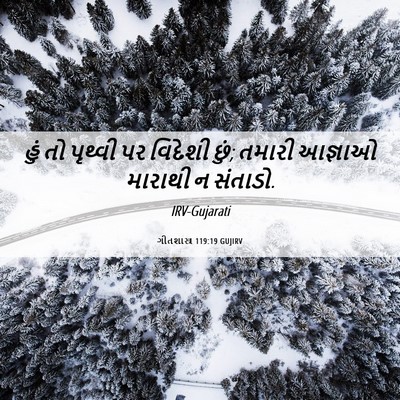 Picture 06 - ગીતશાસ્ત્ર 119:19 GUJIRV - હું તો પૃથ્વી પર - Bible Verse Picture