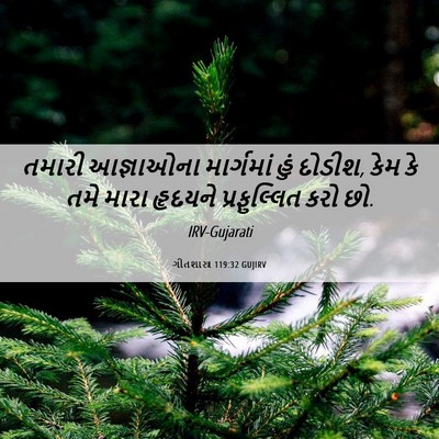 Picture 06 - ગીતશાસ્ત્ર 119:32 GUJIRV - તમારી આજ્ઞાઓના - Bible Verse Picture