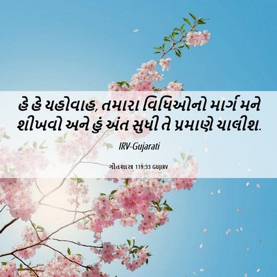 Picture 06 - ગીતશાસ્ત્ર 119:33 GUJIRV - હે હે યહોવાહ, તમારા - Bible Verse Picture