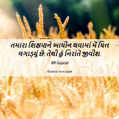 Picture 06 - ગીતશાસ્ત્ર 119:45 GUJIRV - તમારા શિક્ષણને - Bible Verse Picture