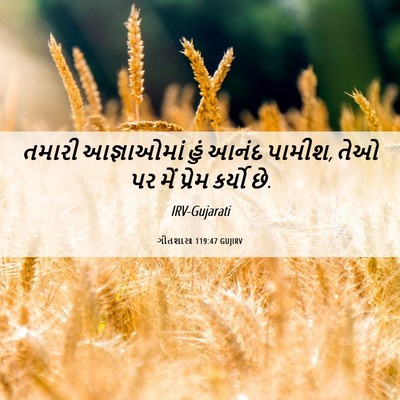 Picture 06 - ગીતશાસ્ત્ર 119:47 GUJIRV - તમારી આજ્ઞાઓમાં - Bible Verse Picture