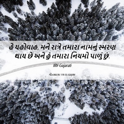 Picture 06 - ગીતશાસ્ત્ર 119:55 GUJIRV - હે યહોવાહ, મને - Bible Verse Picture