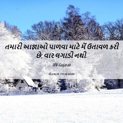 Picture 06 - ગીતશાસ્ત્ર 119:60 GUJIRV - તમારી આજ્ઞાઓ - Bible Verse Picture
