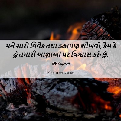 Picture 06 - ગીતશાસ્ત્ર 119:66 GUJIRV - મને સારો વિવેક તથા - Bible Verse Picture