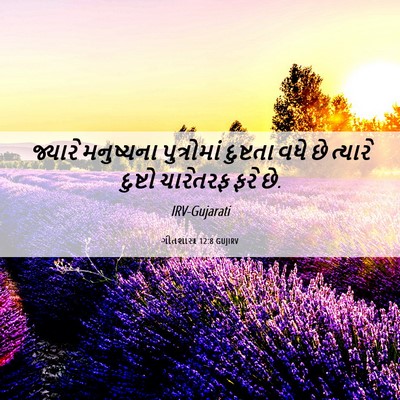 Picture 06 - ગીતશાસ્ત્ર 12:8 GUJIRV - જ્યારે મનુષ્યના - Bible Verse Picture