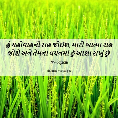 Picture 06 - ગીતશાસ્ત્ર 130:5 GUJIRV - હું યહોવાહની રાહ - Bible Verse Picture