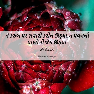 Picture 06 - ગીતશાસ્ત્ર 18:10 GUJIRV - તે કરુબ પર સવારી - Bible Verse Picture