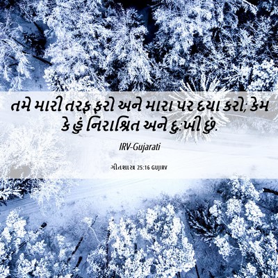 Picture 06 - ગીતશાસ્ત્ર 25:16 GUJIRV - તમે મારી તરફ ફરો - Bible Verse Picture