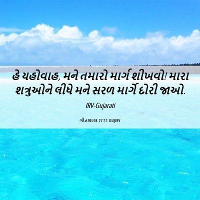 Picture 06 - ગીતશાસ્ત્ર 27:11 GUJIRV - હે યહોવાહ, મને - Bible Verse Picture