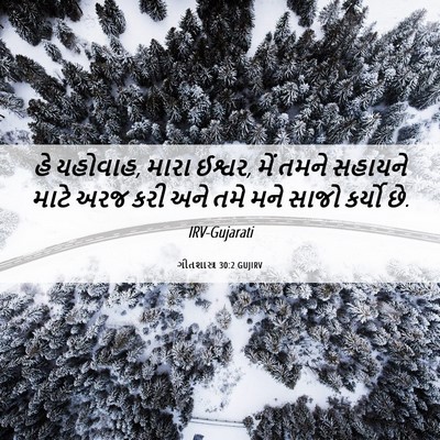 Picture 06 - ગીતશાસ્ત્ર 30:2 GUJIRV - હે યહોવાહ, મારા - Bible Verse Picture