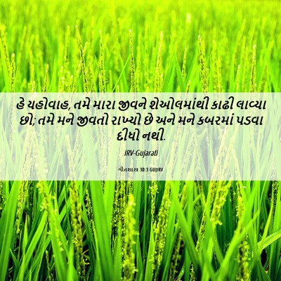 Picture 06 - ગીતશાસ્ત્ર 30:3 GUJIRV - હે યહોવાહ, તમે મારા - Bible Verse Picture