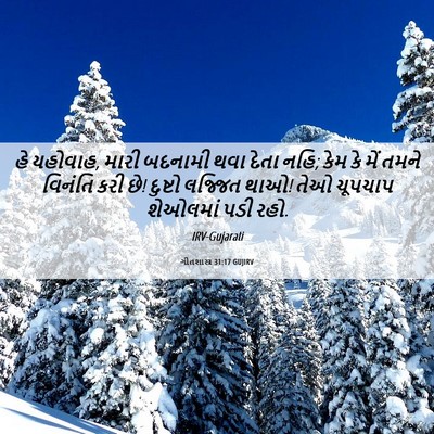 Picture 06 - ગીતશાસ્ત્ર 31:17 GUJIRV - હે યહોવાહ, મારી - Bible Verse Picture
