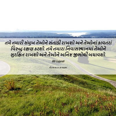 Picture 06 - ગીતશાસ્ત્ર 31:20 GUJIRV - તમે તમારી સંમુખ - Bible Verse Picture