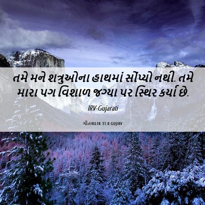 Picture 06 - ગીતશાસ્ત્ર 31:8 GUJIRV - તમે મને શત્રુઓના - Bible Verse Picture
