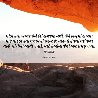 Picture 06 - ગીતશાસ્ત્ર 32:9 GUJIRV - ઘોડા તથા ખચ્ચર - Bible Verse Picture