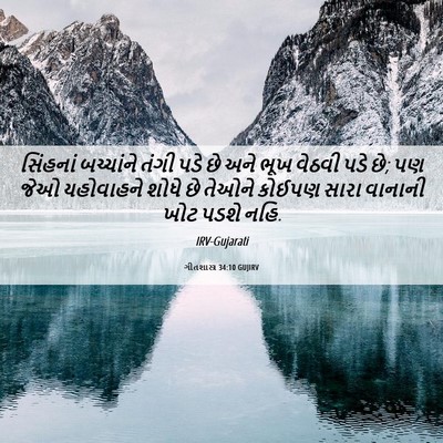 Picture 06 - ગીતશાસ્ત્ર 34:10 GUJIRV - સિંહનાં બચ્ચાંને - Bible Verse Picture