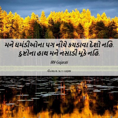 Picture 06 - ગીતશાસ્ત્ર 36:11 GUJIRV - મને ઘમંડીઓના પગ - Bible Verse Picture