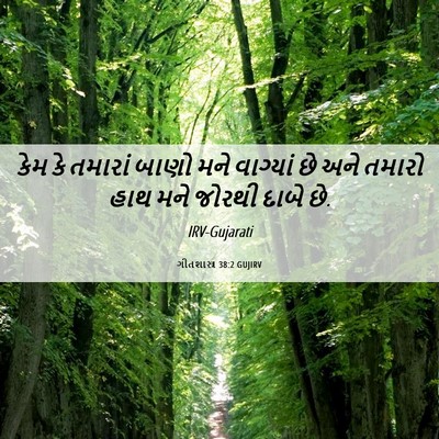 Picture 06 - ગીતશાસ્ત્ર 38:2 GUJIRV - કેમ કે તમારાં બાણો - Bible Verse Picture
