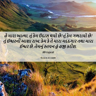 Picture 06 - ગીતશાસ્ત્ર 43:5 GUJIRV - હે મારા આત્મા, તું - Bible Verse Picture