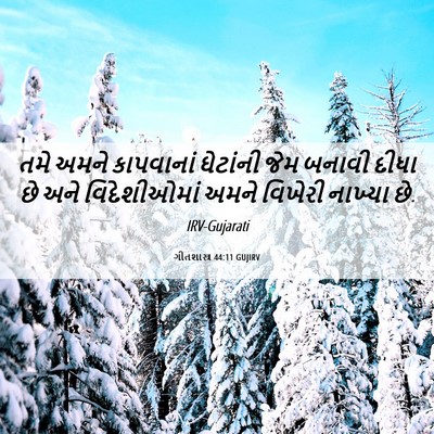 Picture 06 - ગીતશાસ્ત્ર 44:11 GUJIRV - તમે અમને કાપવાનાં - Bible Verse Picture