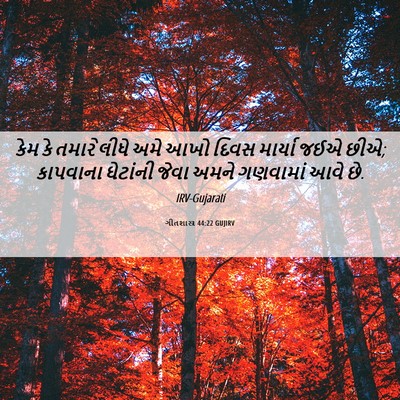 Picture 06 - ગીતશાસ્ત્ર 44:22 GUJIRV - કેમ કે તમારે લીધે - Bible Verse Picture