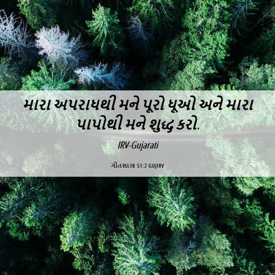 Picture 06 - ગીતશાસ્ત્ર 51:2 GUJIRV - મારા અપરાધથી મને - Bible Verse Picture