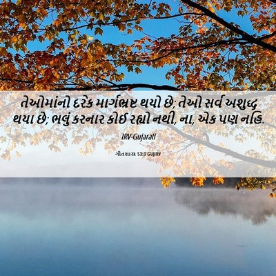 Picture 06 - ગીતશાસ્ત્ર 53:3 GUJIRV - તેઓમાંનો દરેક - Bible Verse Picture