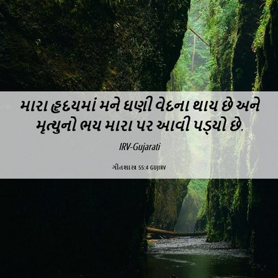 Picture 06 - ગીતશાસ્ત્ર 55:4 GUJIRV - મારા હૃદયમાં મને - Bible Verse Picture