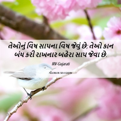 Picture 06 - ગીતશાસ્ત્ર 58:4 GUJIRV - તેઓનું વિષ સાપના - Bible Verse Picture