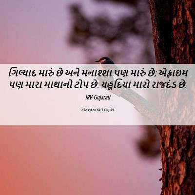 Picture 06 - ગીતશાસ્ત્ર 60:7 GUJIRV - ગિલ્યાદ મારું છે - Bible Verse Picture
