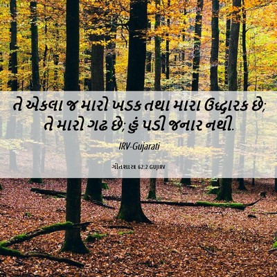 Picture 06 - ગીતશાસ્ત્ર 62:2 GUJIRV - તે એકલા જ મારો ખડક - Bible Verse Picture