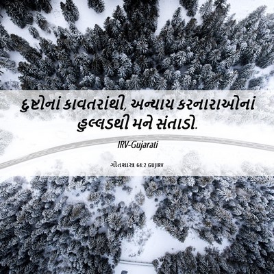 Picture 06 - ગીતશાસ્ત્ર 64:2 GUJIRV - દુષ્ટોનાં - Bible Verse Picture
