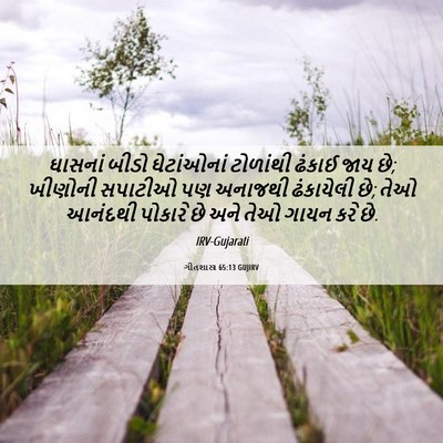 Picture 06 - ગીતશાસ્ત્ર 65:13 GUJIRV - ઘાસનાં બીડો - Bible Verse Picture