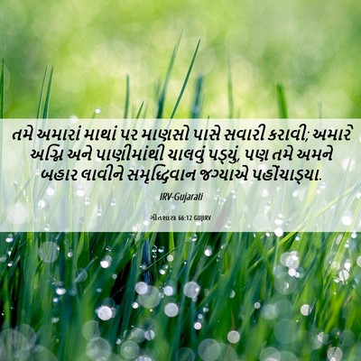 Picture 06 - ગીતશાસ્ત્ર 66:12 GUJIRV - તમે અમારાં માથાં - Bible Verse Picture