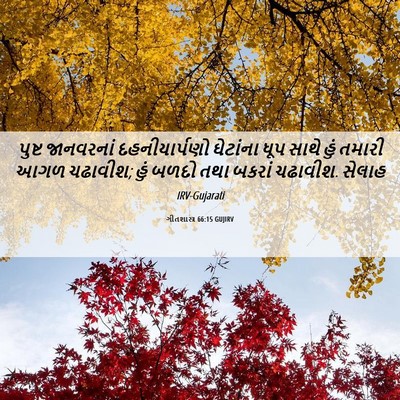 Picture 06 - ગીતશાસ્ત્ર 66:15 GUJIRV - પુષ્ટ જાનવરનાં - Bible Verse Picture