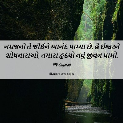 Picture 06 - ગીતશાસ્ત્ર 69:32 GUJIRV - નમ્રજનો તે જોઈને - Bible Verse Picture