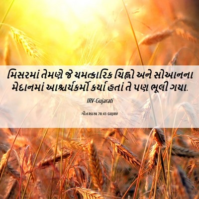 Picture 06 - ગીતશાસ્ત્ર 78:43 GUJIRV - મિસરમાં તેમણે જે - Bible Verse Picture