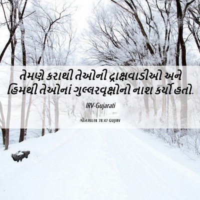 Picture 06 - ગીતશાસ્ત્ર 78:47 GUJIRV - તેમણે કરાથી તેઓની - Bible Verse Picture