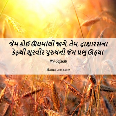Picture 06 - ગીતશાસ્ત્ર 78:65 GUJIRV - જેમ કોઈ ઊંઘમાંથી - Bible Verse Picture