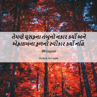 Picture 06 - ગીતશાસ્ત્ર 78:67 GUJIRV - તેમણે યૂસફના - Bible Verse Picture