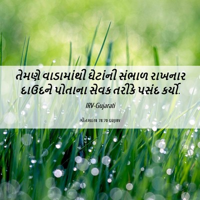Picture 06 - ગીતશાસ્ત્ર 78:70 GUJIRV - તેમણે વાડામાંથી - Bible Verse Picture