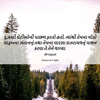Picture 06 - ગીતશાસ્ત્ર 78:71 GUJIRV - દૂઝણી ઘેટીઓની - Bible Verse Picture